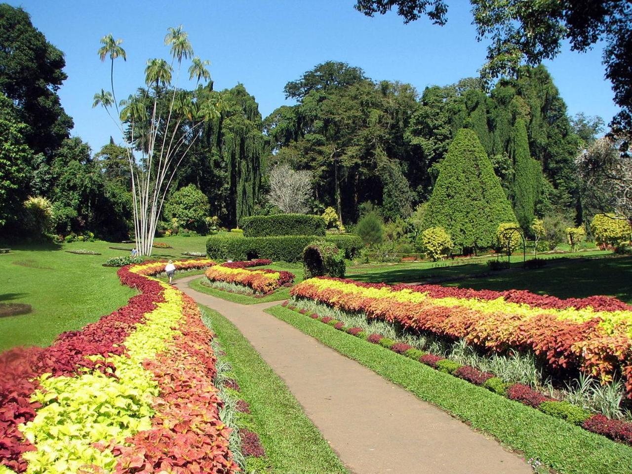 Kandy View Garden Hotel Eksteriør billede